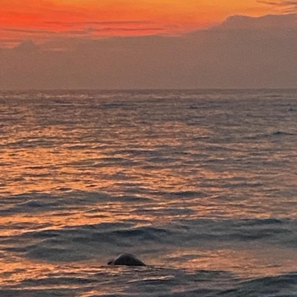 Meet your Posher, Lisa - Picture 6 of 7